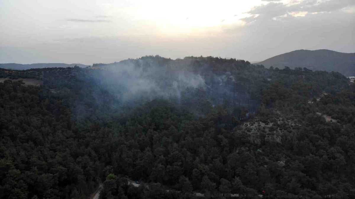 Çanakkale\'de Orman Yangınına Havadan Müdahale Başladı
