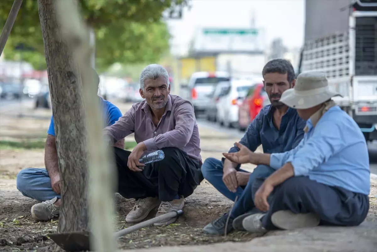 Erbil'de Gündelik İşçiler Sıcakta İş Bekliyor