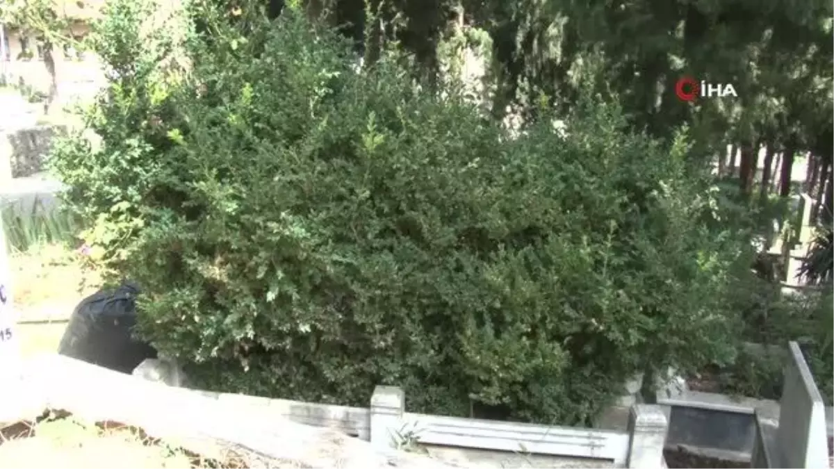 Kazım Baykal ölümünün 30. yılında unutuldu