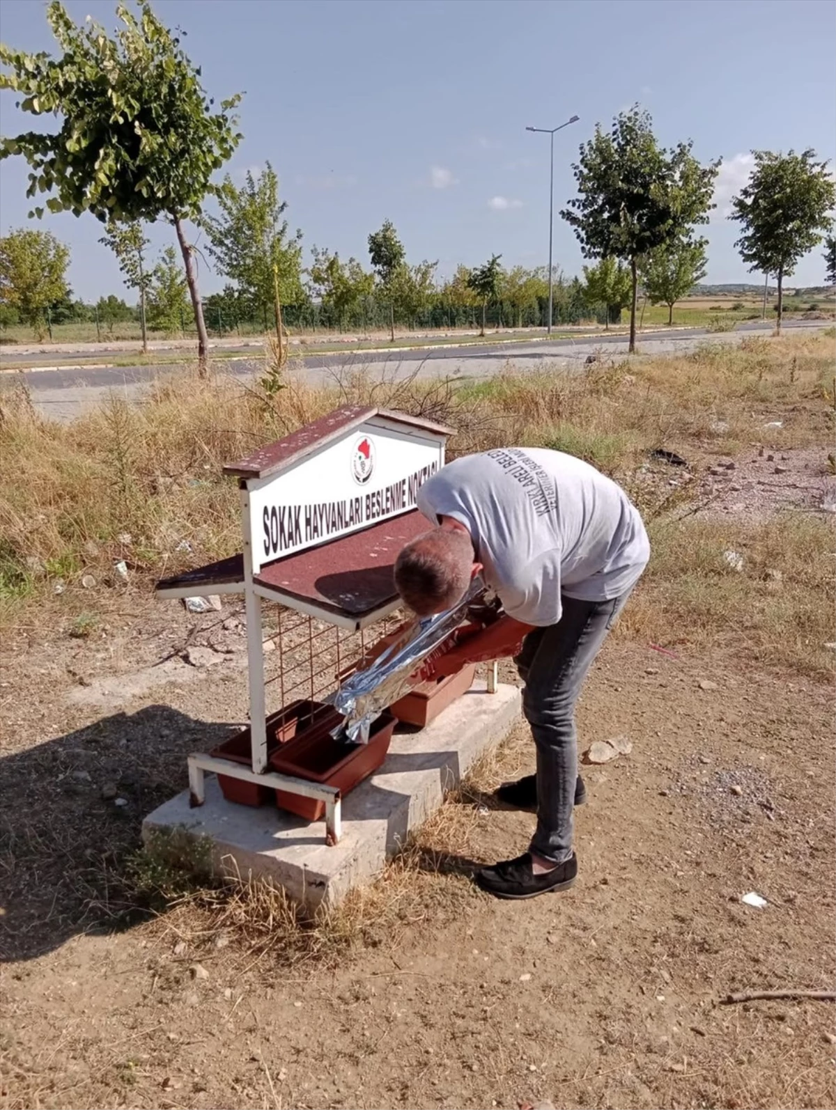 Kırklareli\'nde sahipsiz hayvanlara su ve mama takviyesi yapıldı