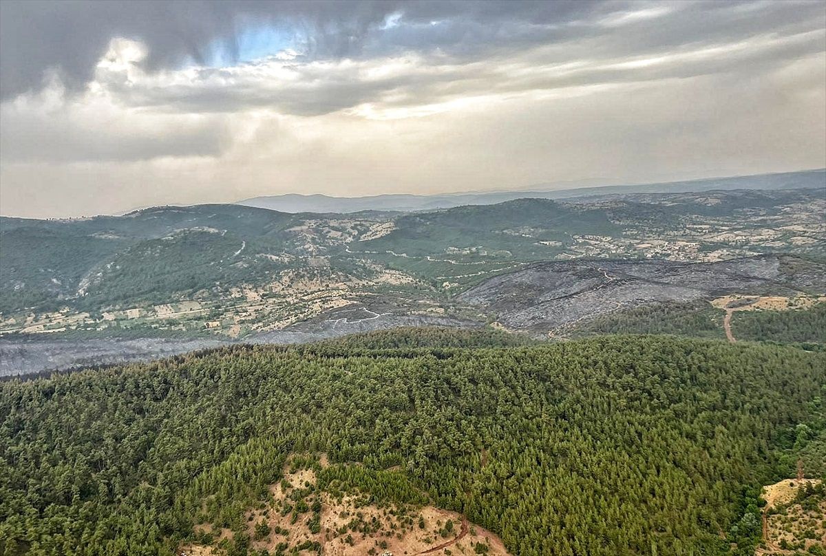 Tavşanlı\'da çıkan orman yangınında 180 hektar alan zarar gördü