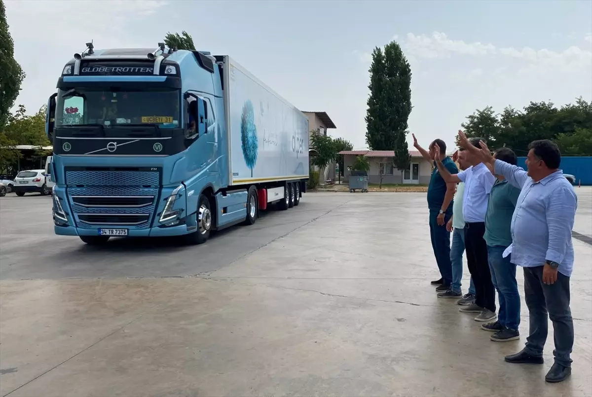 Alaşehir'de Erkenci Üzüm Hasadı Başladı