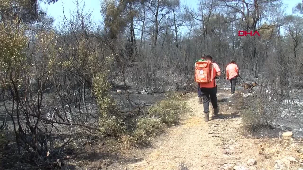Manisa\'da çıkan orman yangınında sabotaj ihtimali araştırılıyor