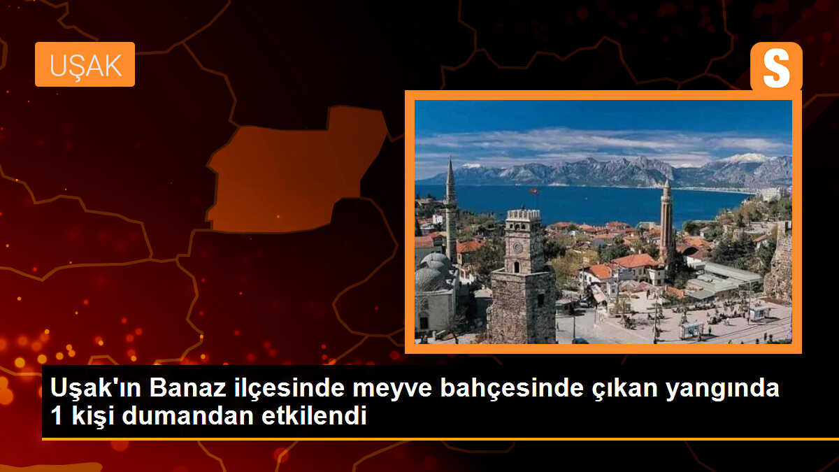 Uşak\'ın Banaz ilçesinde meyve bahçesinde çıkan yangında 1 kişi dumandan etkilendi