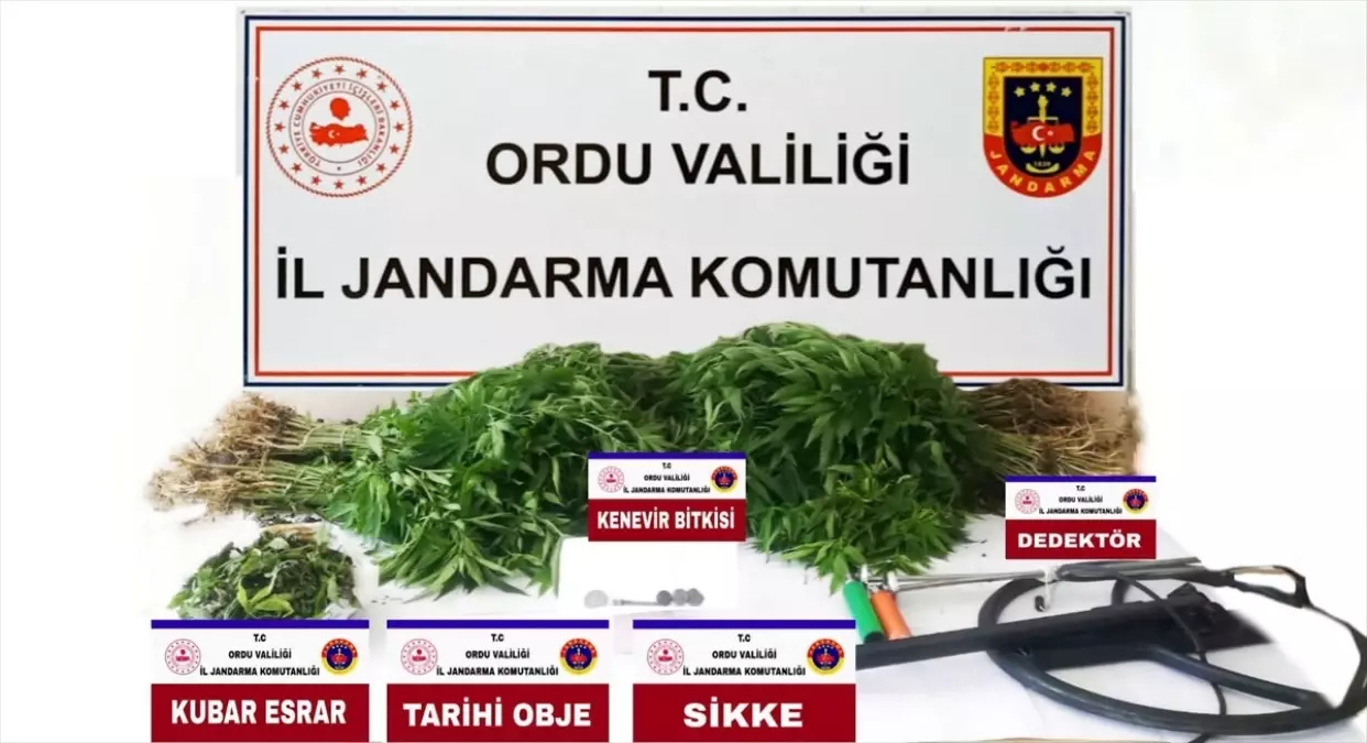 Ordu\'da tarihi eser ve uyuşturucu operasyonu kapsamında gözaltına alınan şüpheli tutuklandı
