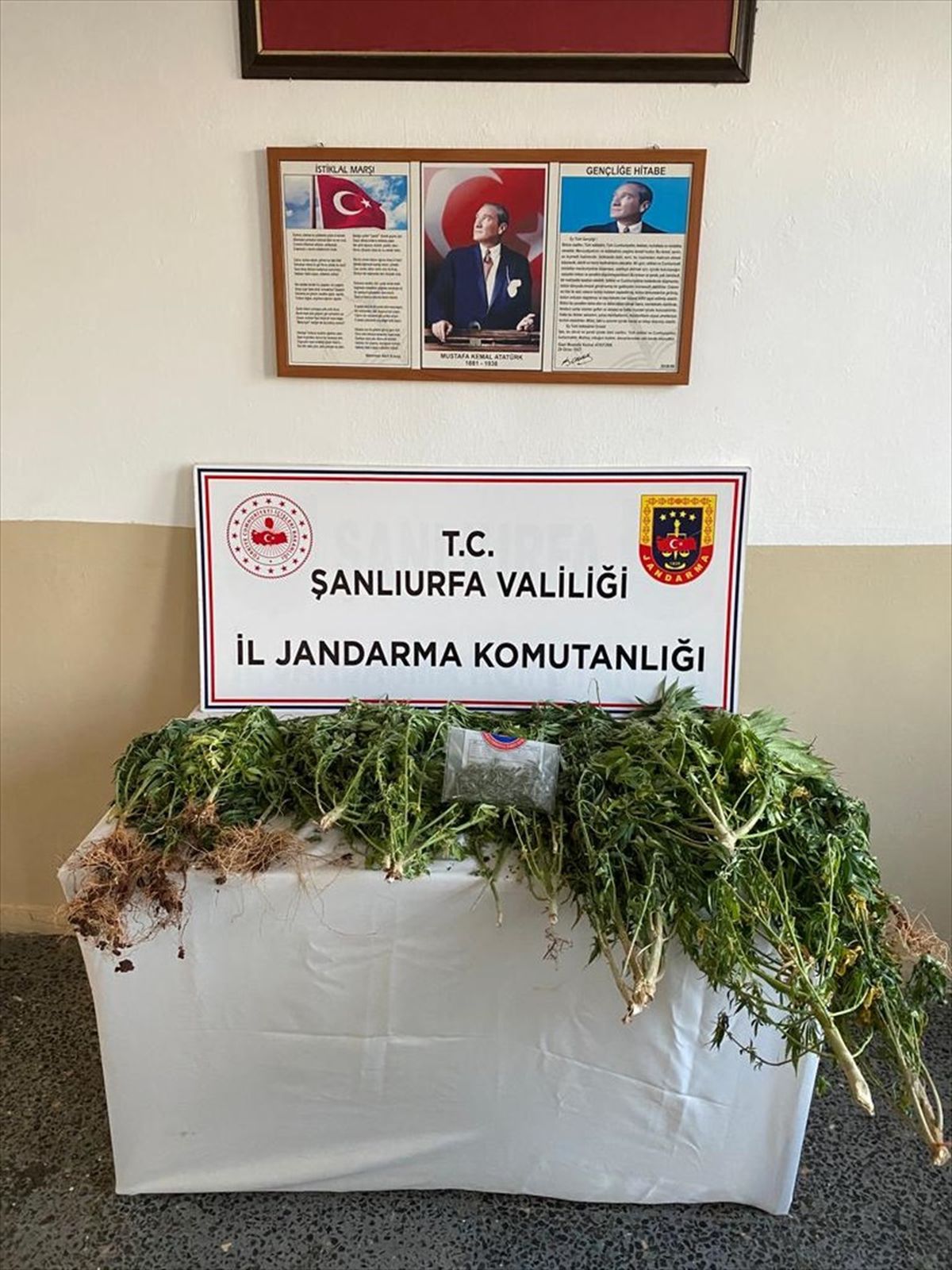 Şanlıurfa\'da Uyuşturucu Operasyonu: 5 Gözaltı