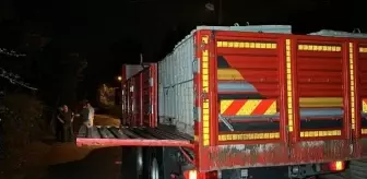 Dorse kapağı çarpan yaşlı adam hayatını kaybetti