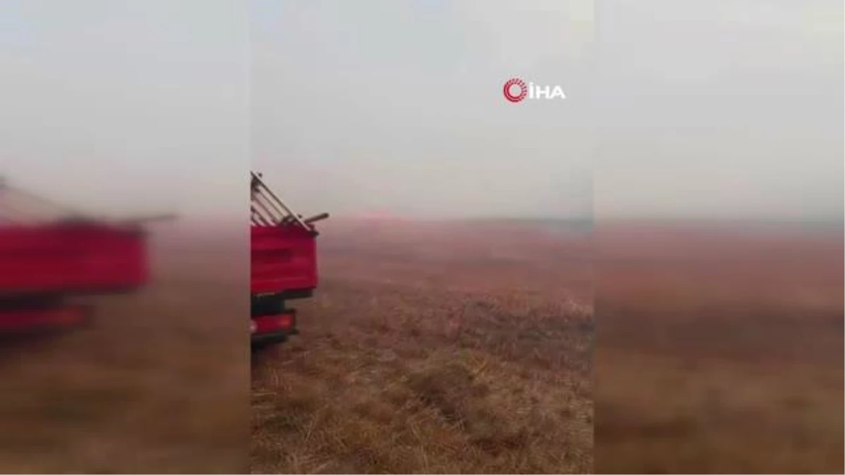 Silivri\'de korkutan yangın: Arazide başladı ormanlık alana sıçradı