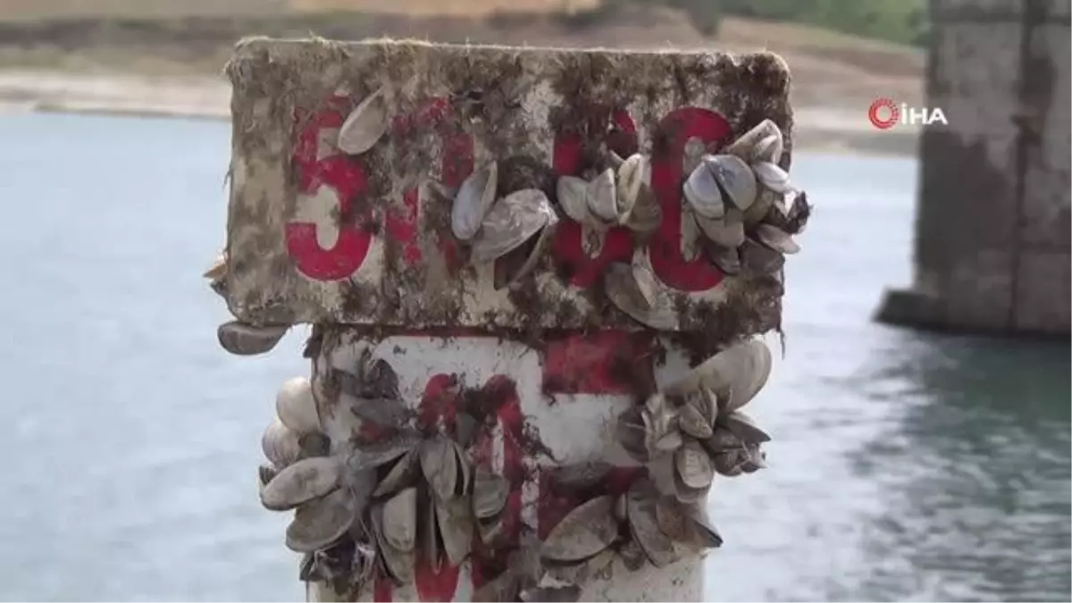 Tekirdağ\'ın 2 ilçesi diken üzerinde: Sular her an kesilebilir