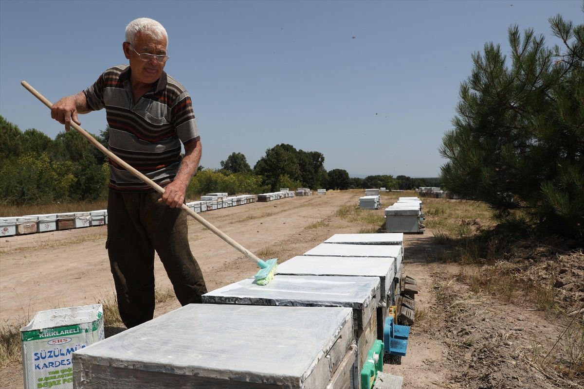 Trakya\'da Gezgin Arıcılar Arılarını Sıcaktan Koruyor