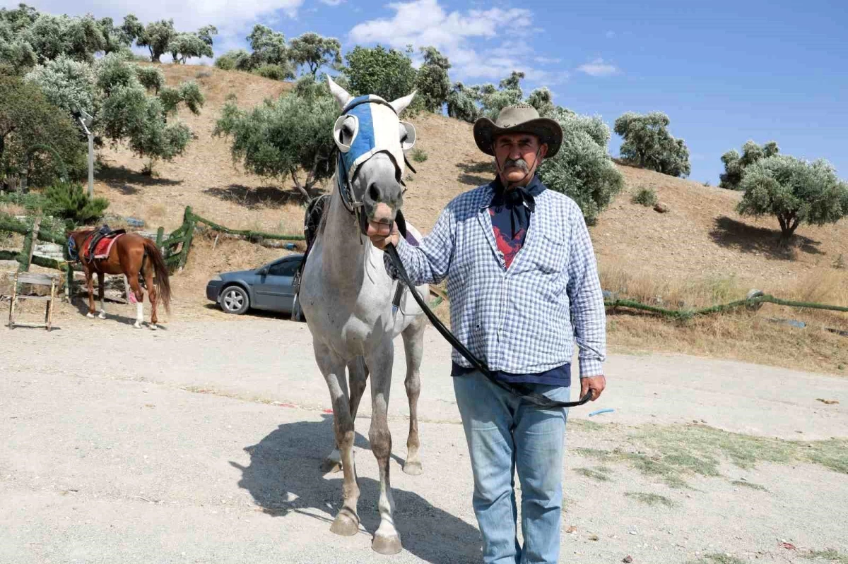 Kahramanmaraş\'ta At Yetiştiricisi, Deprem Sonrası Atlarını Satıyor