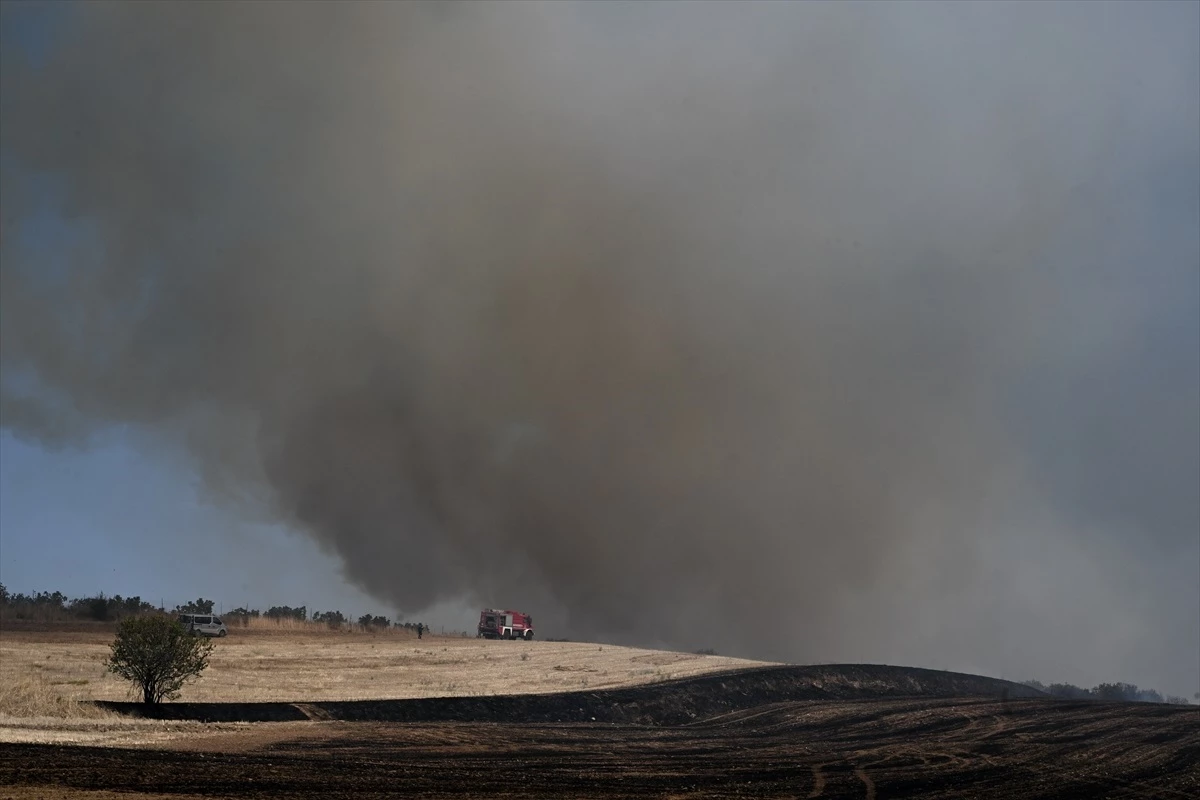 Yunanistan\'da Orman Yangınlarında Ölenlerin Sayısı 4\'e Çıktı