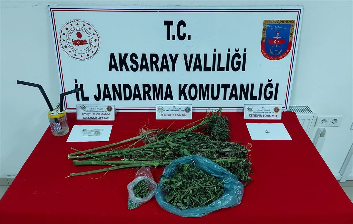 Aksaray\'da Hint keneviri yetiştiren zanlı yakalandı