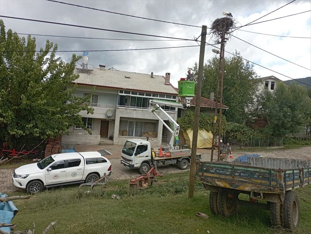 Bartın\'da Ayaklarına Alçı Bandajı Dolanan Leyleğe Yardım