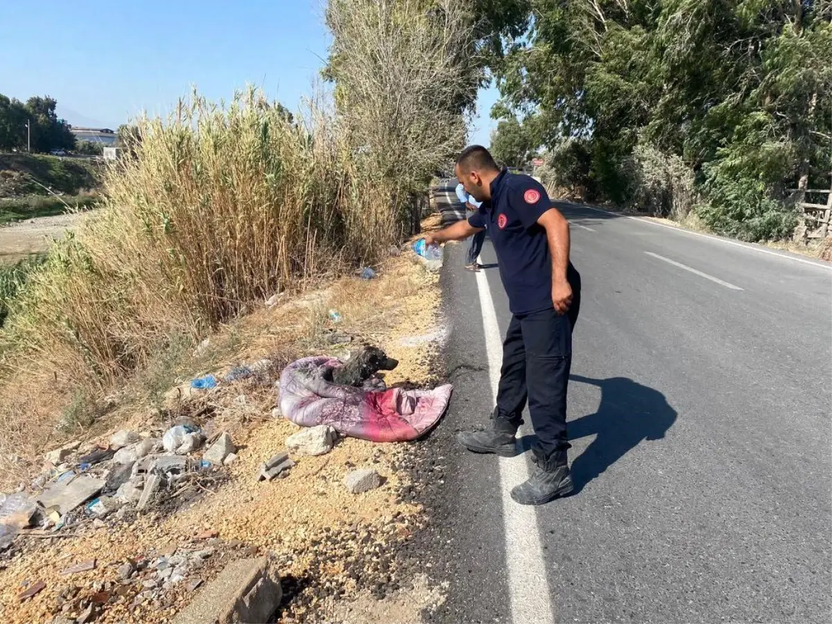 Antakya\'da bataklığa saplanan köpek itfaiye tarafından kurtarıldı