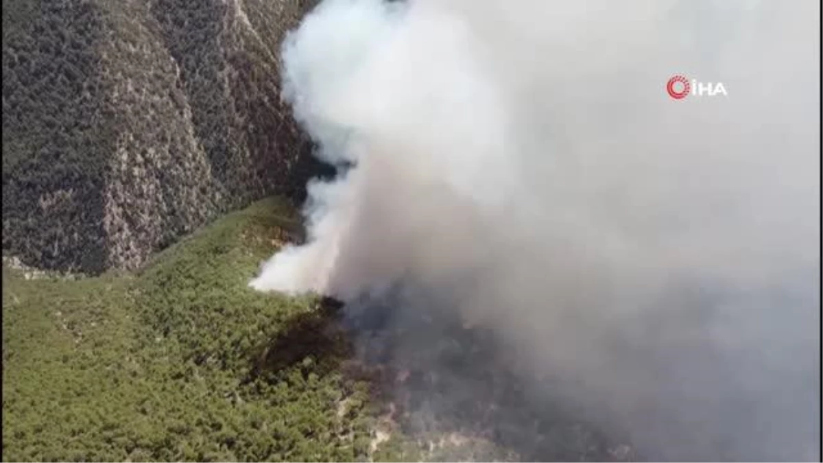 Bolu\'da yangına havadan ve karadan müdahale sürüyor: 50 hektarlık alan küle döndü