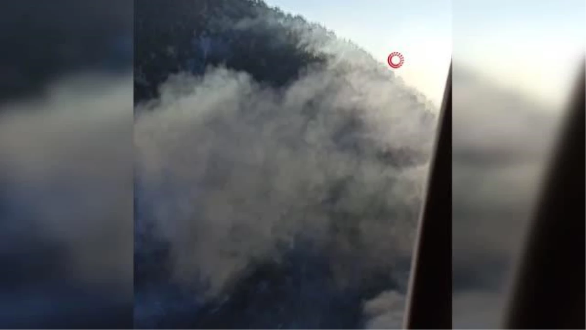 Bolu\'daki orman yangınına havadan müdahale sürüyor