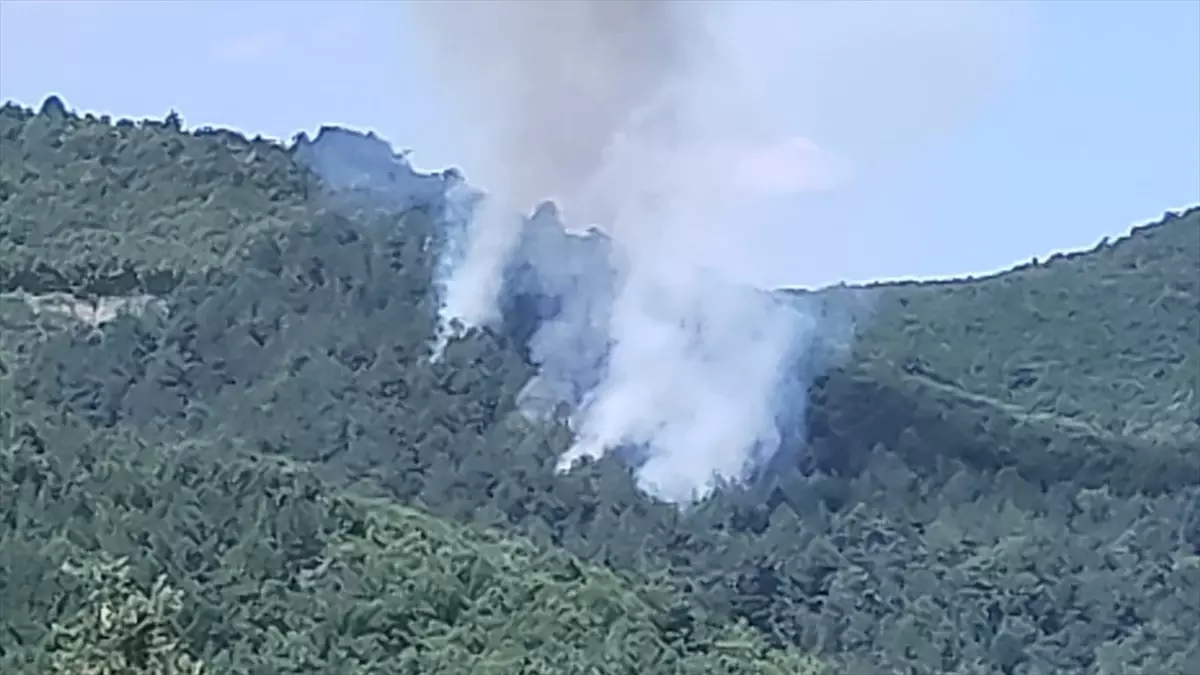 Bursa Yenişehir'deki Orman Yangını Havadan ve Karadan Söndürüldü