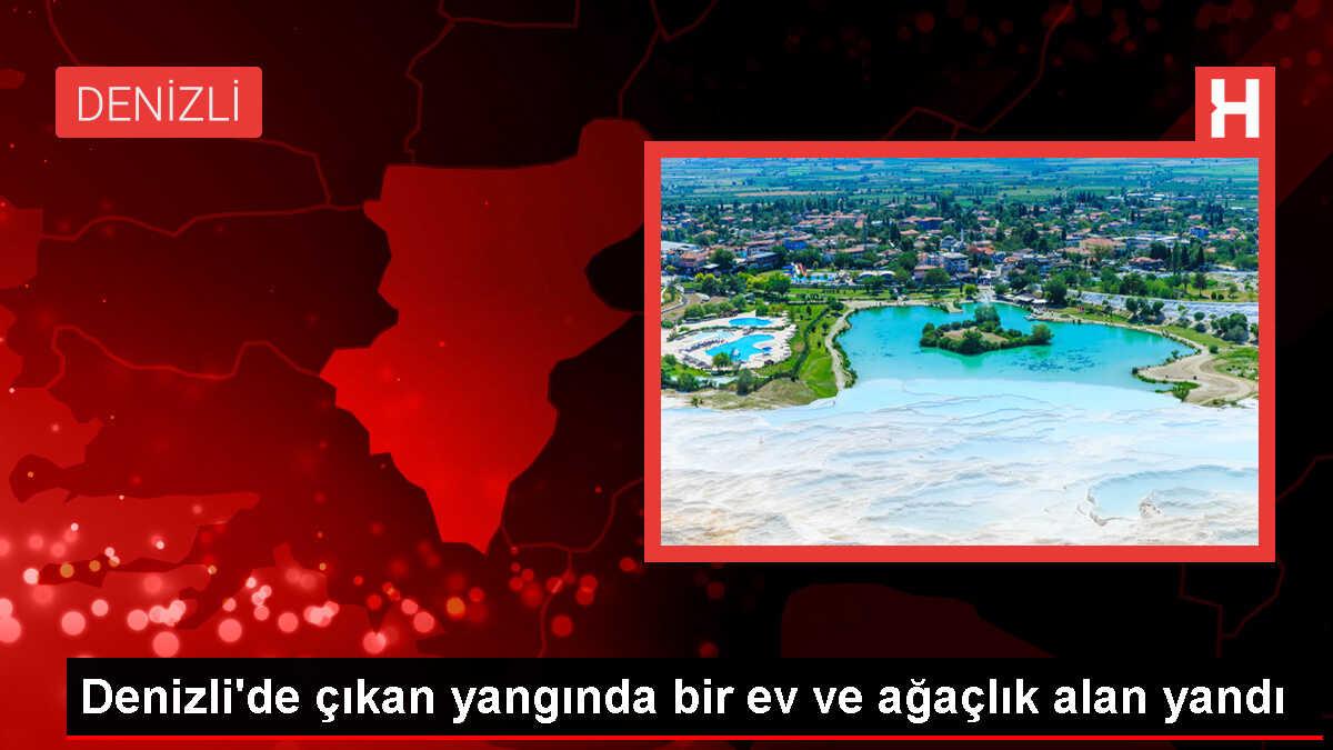 Denizli Çivril'de çıkan yangında ev ve ağaçlık alan zarar gördü