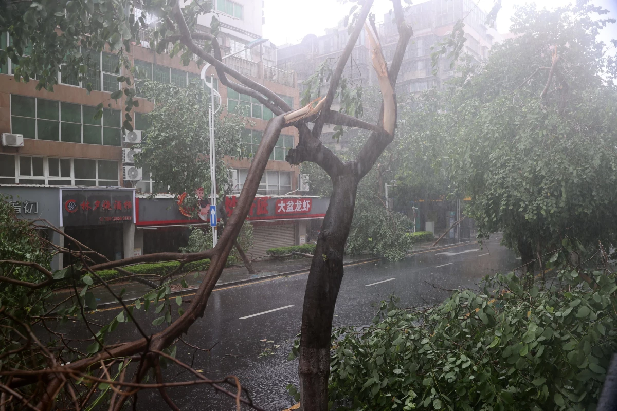 Çin\'de Doksuri Tayfunu Şiddetli Rüzgarlarla Etkili Oldu