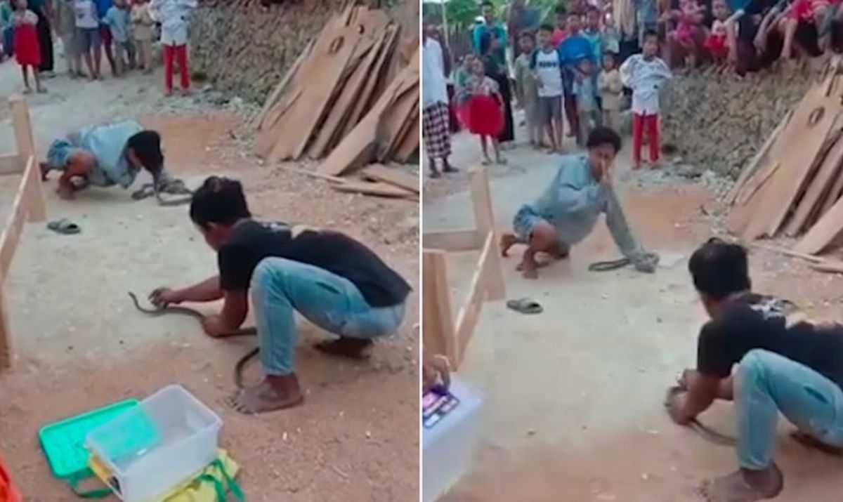 Endonezya\'da Yılan Oynatıcısı Yılan Tarafından Isırılarak Öldü