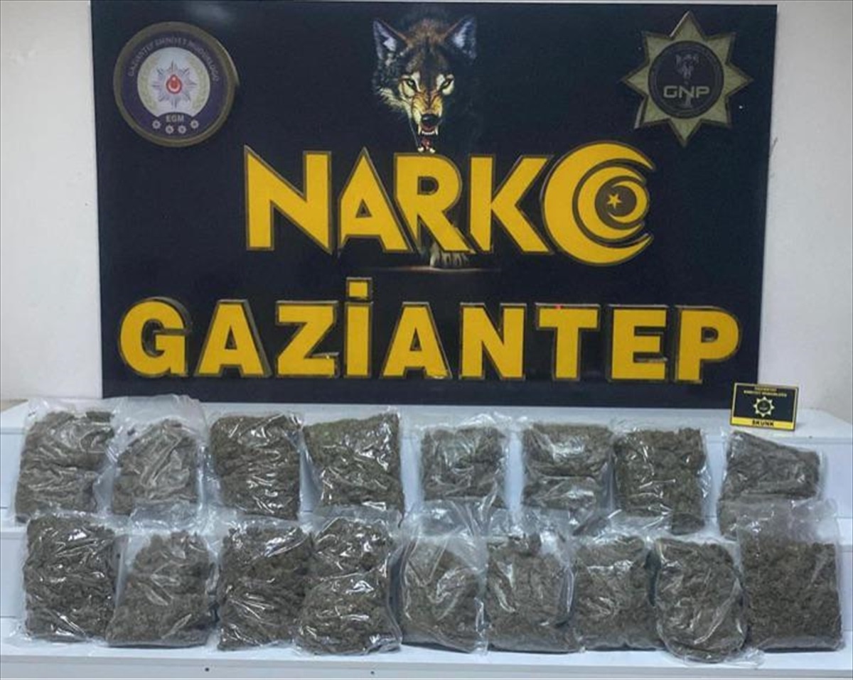 Gaziantep\'te 8 kilo 550 gram skunk yakalandı