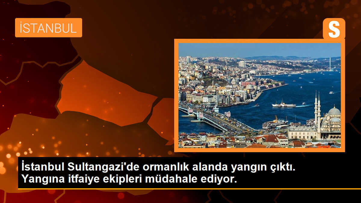 İstanbul Sultangazi\'de ormanlık alanda yangın çıktı. Yangına itfaiye ekipleri müdahale ediyor.