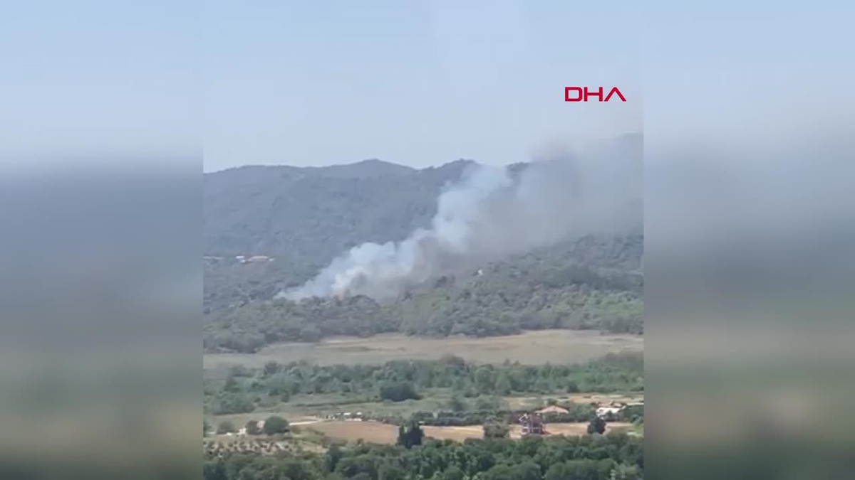 MUĞLA\'DA ORMAN YANGINI