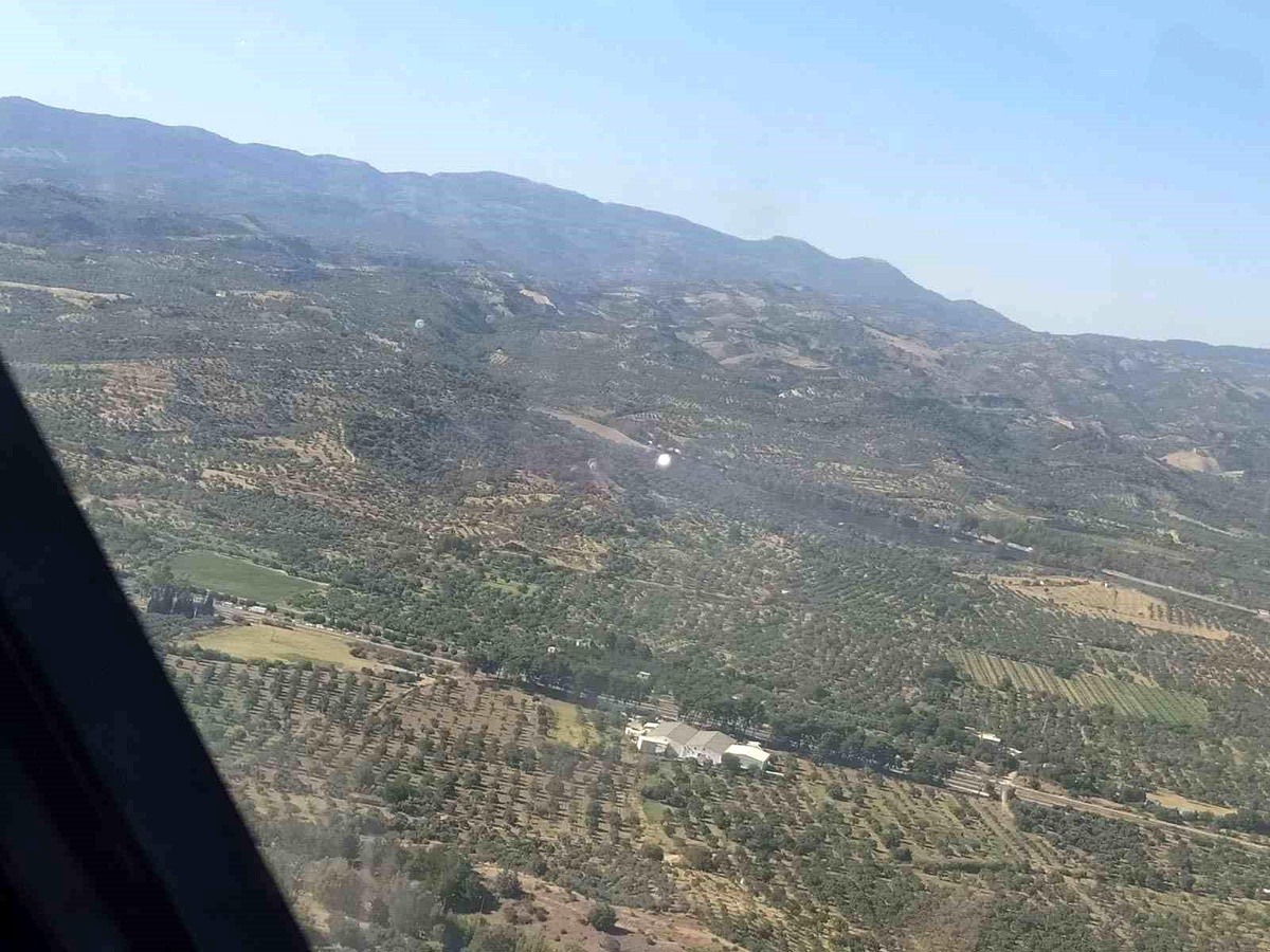 Aydın İzmir Otoyolu\'nda çıkan orman yangını hızlı müdahale ile söndürüldü