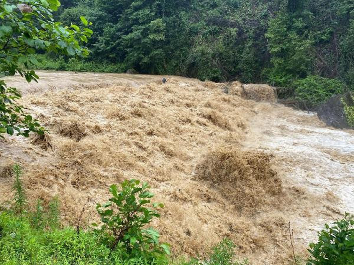 Rize\'de Sağanak Yağış Dereleri Yükseltti