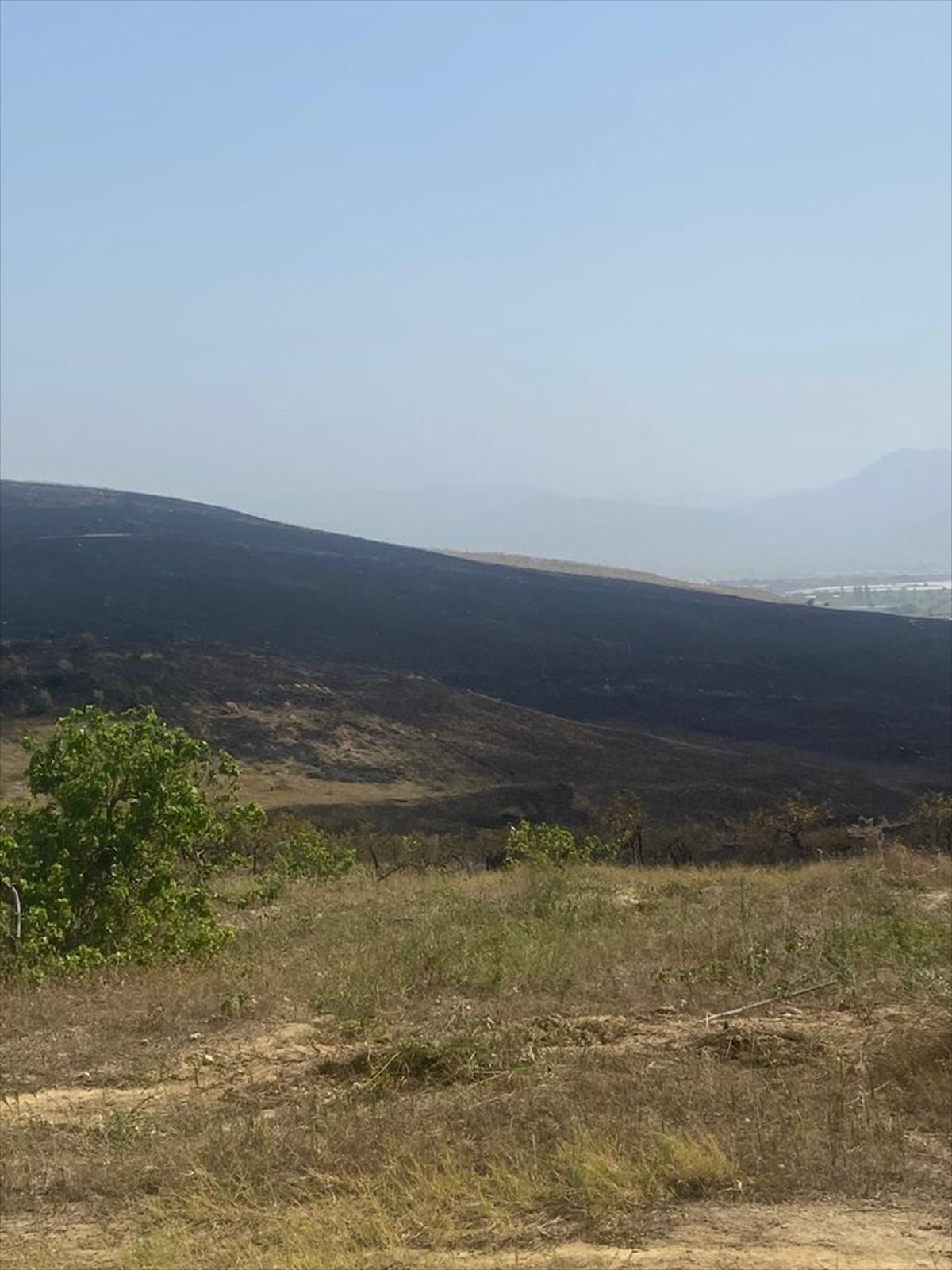 Sarıgöl'de çıkan yangın itfaiye tarafından söndürüldü