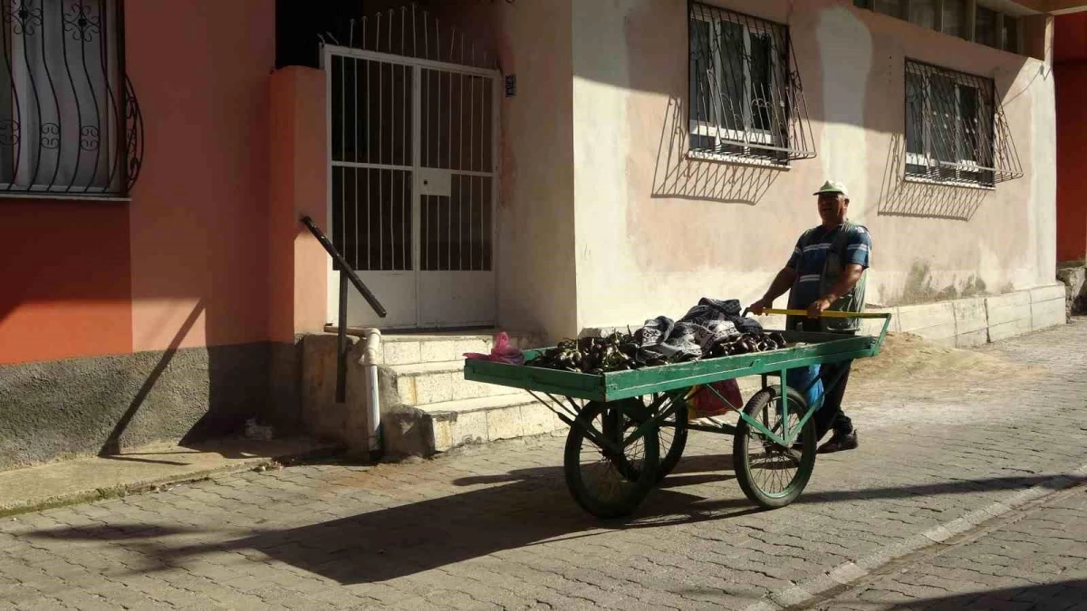 Sokaklarda Patlıcan Satışı Yapan Seyyar Manav