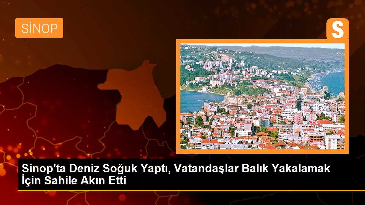 Sinop\'ta Deniz Soğuk Yaptı, Vatandaşlar Balık Yakalamak İçin Sahile Akın Etti