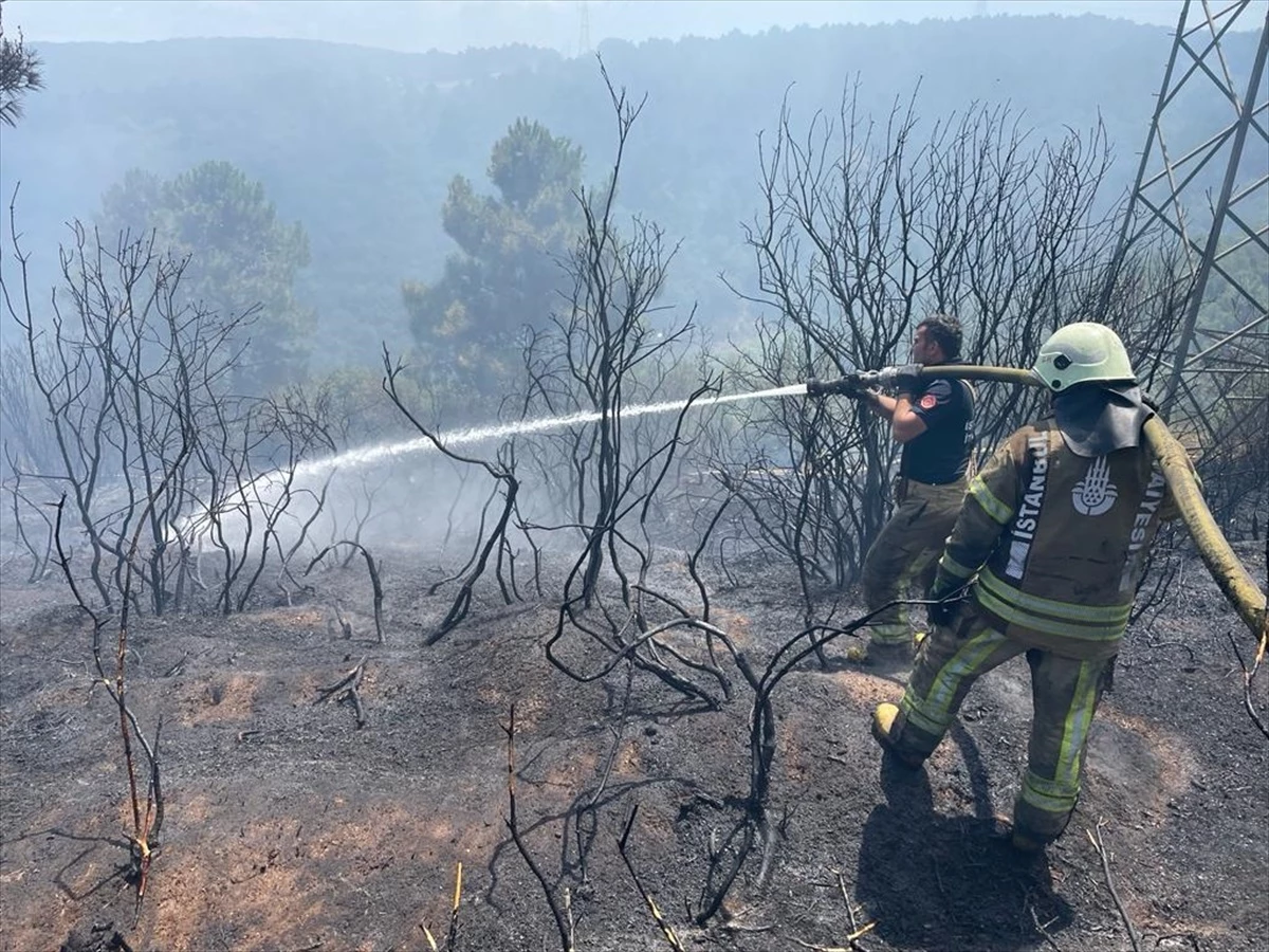 Sultangazi\'de Ormanlık Alanda Çıkan Yangına İtfaiye Ekipleri Müdahale Ediyor