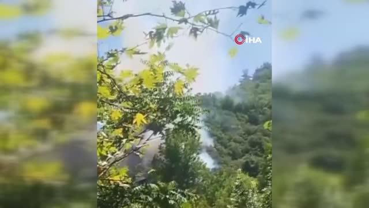 Uludağ\'daki orman yangını kontrol altına alındı