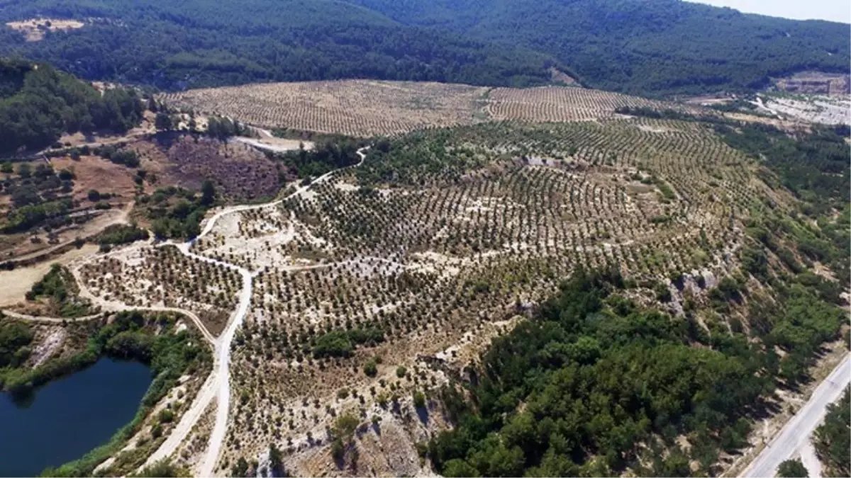 YK ENERJİ KAMUOYU AÇIKLAMASI