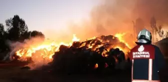 Yüksekova'da çıkan yangında 21 bin 500 bağ ot kül oldu