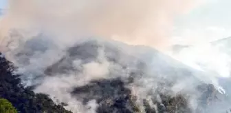 Göynük'te Yıldırım Düşmesi Sonucu Çıkan Orman Yangınına Müdahale Devam Ediyor