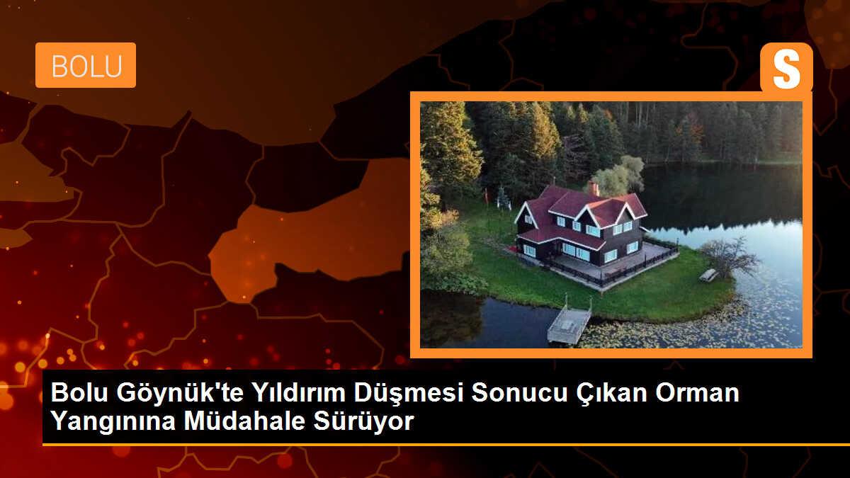 Göynük\'te Yıldırım Sonucu Çıkan Orman Yangınına Müdahale Devam Ediyor