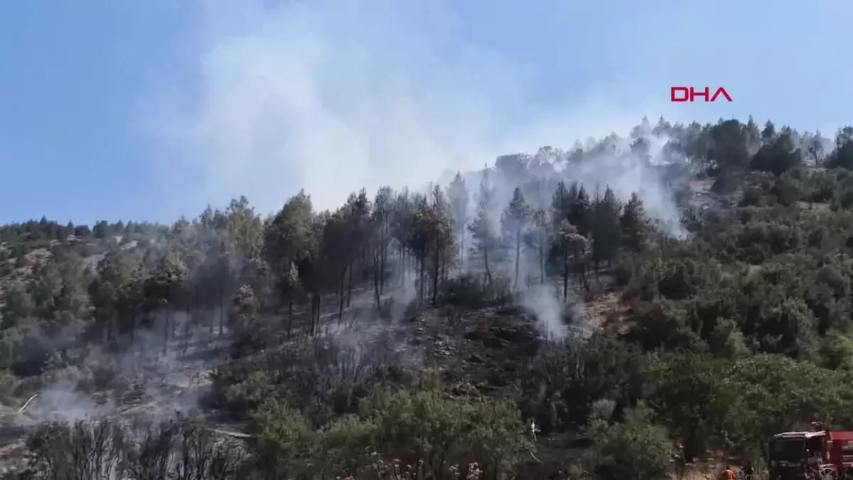 Burdur Bucak\'ta Kızılçam Ormanında Yangın Çıktı