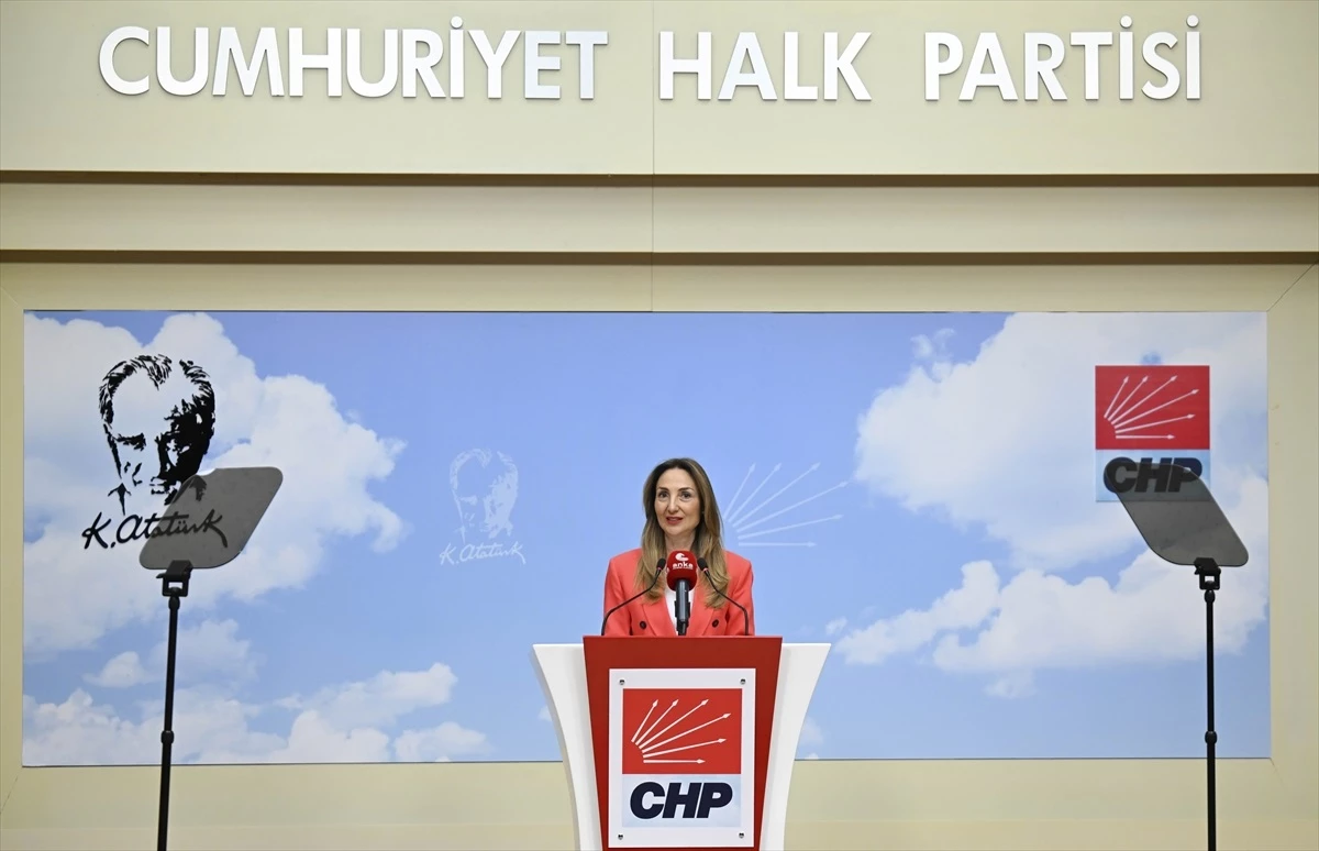 CHP Kadın Kolları Genel Başkanı Aylin Nazlıaka: \'6284 sayılı yasa kırmızı çizgimizdir\'