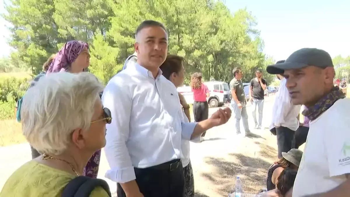 Muğla Akbelen Ormanında Ağaç Kesimi Protesto Ediliyor