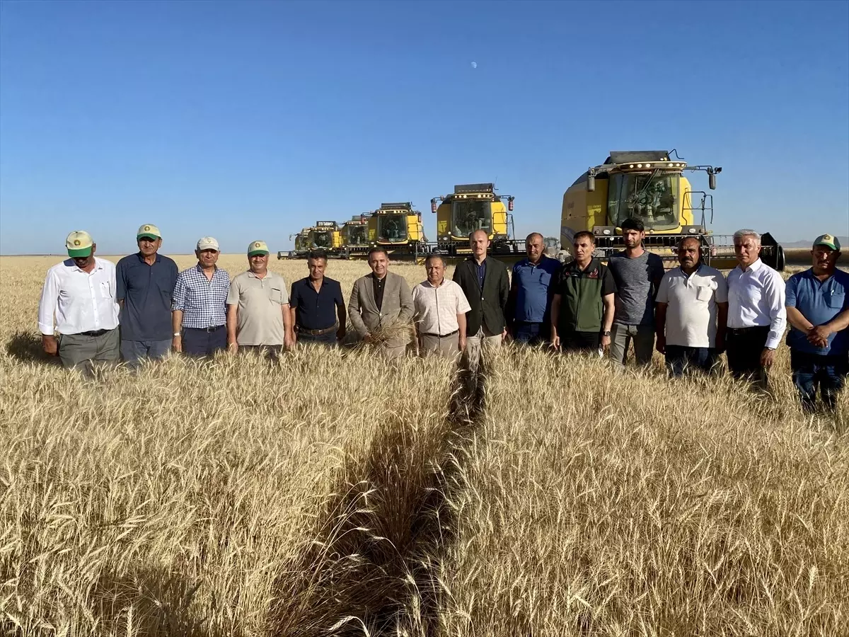 Kırşehir Valisi Hububat Tarlalarında İncelemelerde Bulundu