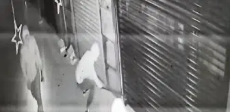 İstanbul'da Hırsızlık ve Otomobil Çalma Şebekesine Operasyon