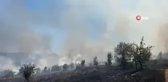 Manisa'da makilik alanda yangın, Kula'da 80 dönüm alan zarar gördü