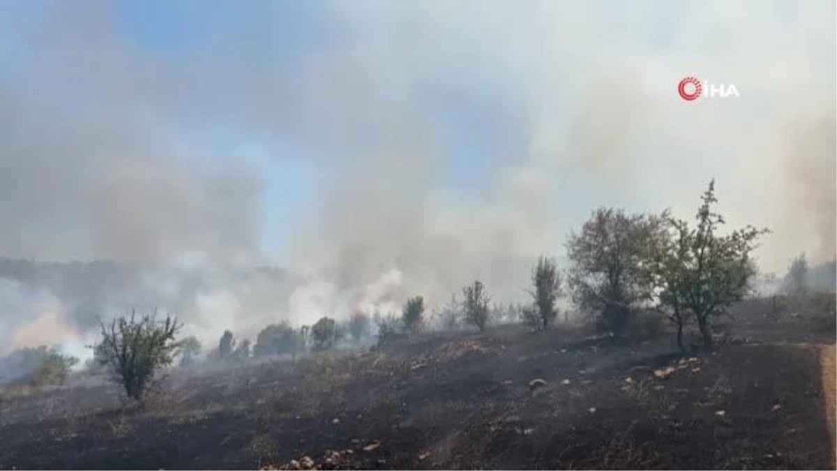Manisa\'da makilik alanda yangın, Kula\'da 80 dönüm alan zarar gördü