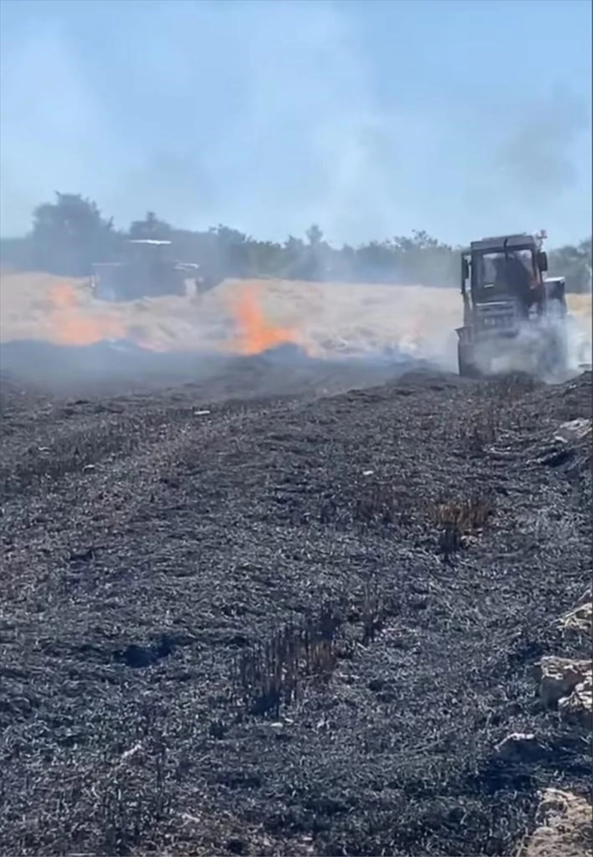 Eskişehir Seyitgazi\'de çıkan yangın 60 dönüm hububat ekili alanı zarara uğrattı