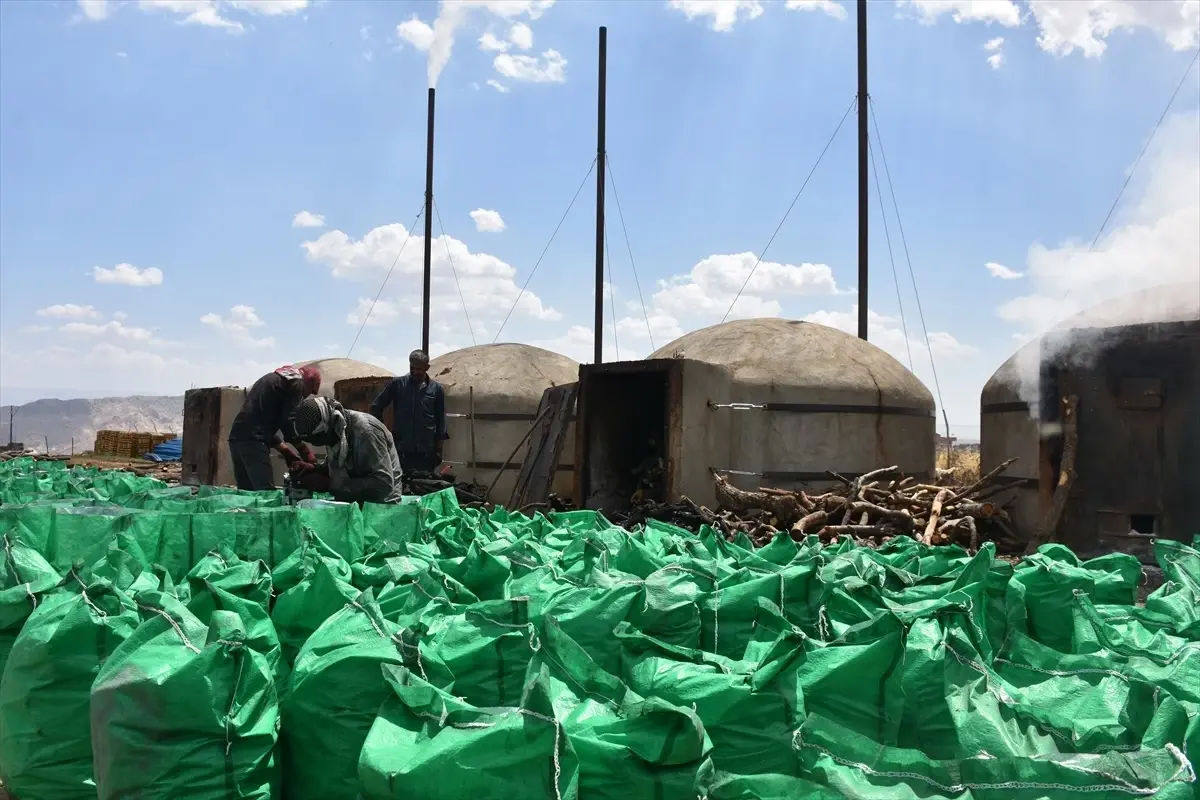 Şırnak\'ta Bacalı Fırınlarda Mangal Kömürü Üretimi
