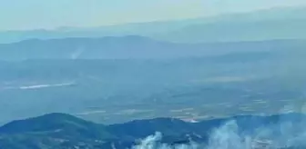 Turgutlu'da çıkan orman yangını 45 dakikada söndürüldü