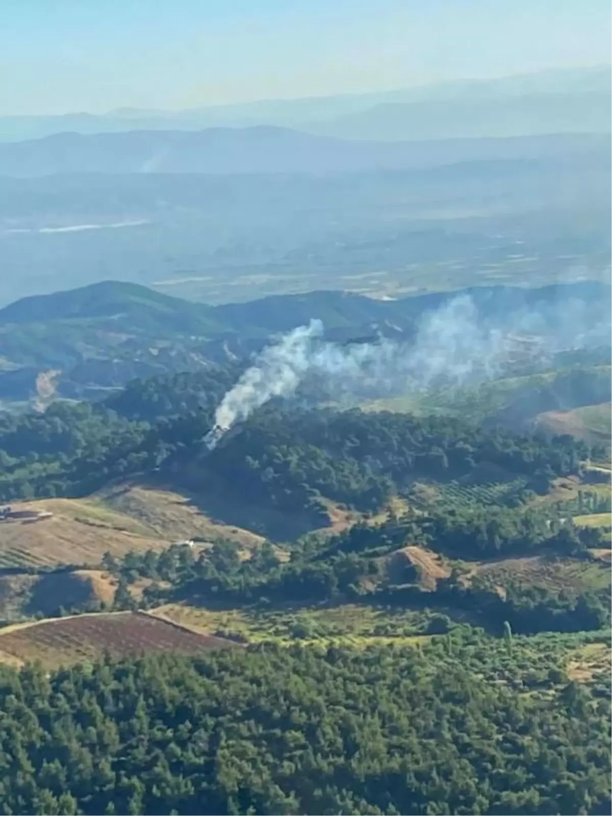 Turgutlu'da çıkan orman yangını 45 dakikada söndürüldü